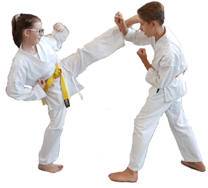 Karate Training