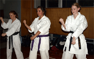 Sanchin Training