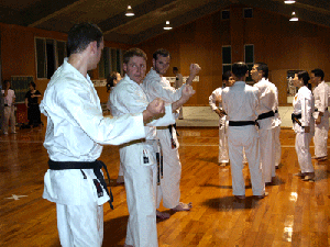 Sanchin Training